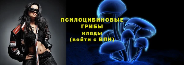 спайс Алексин