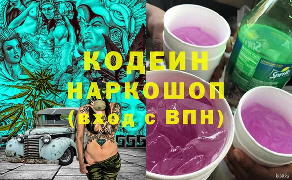 прущий лед Алзамай