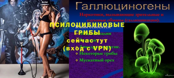 спайс Алексин