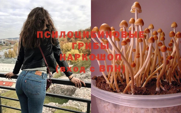 герыч Абдулино