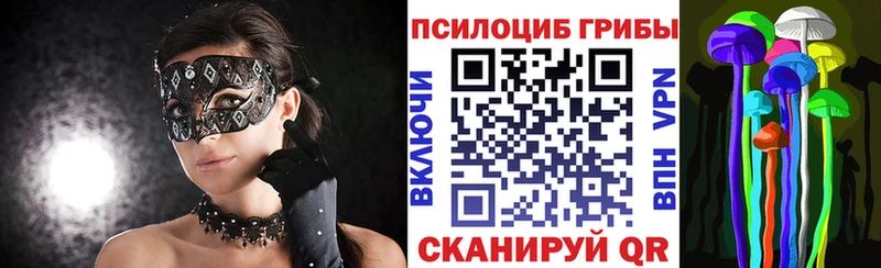 Галлюциногенные грибы Cubensis  Новокузнецк 