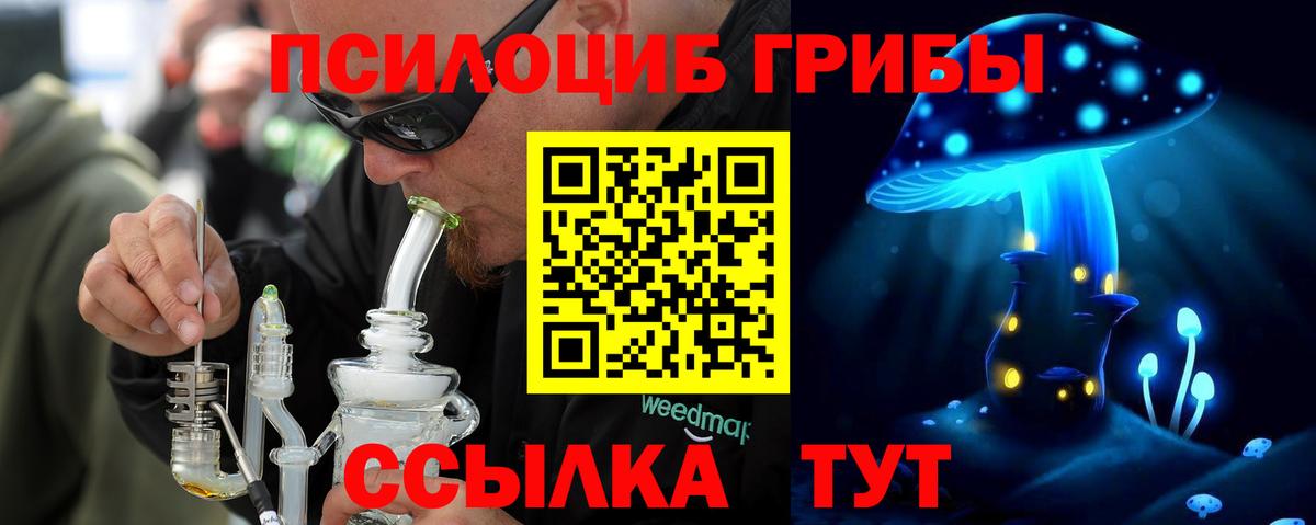 Псилоцибиновые грибы мицелий Новокузнецк